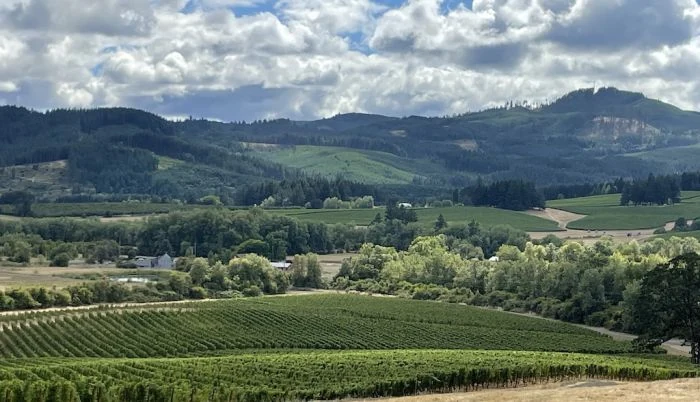 Discover Résonance Wines From Oregon’s Wine Country